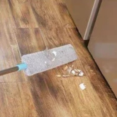 Mop Pro