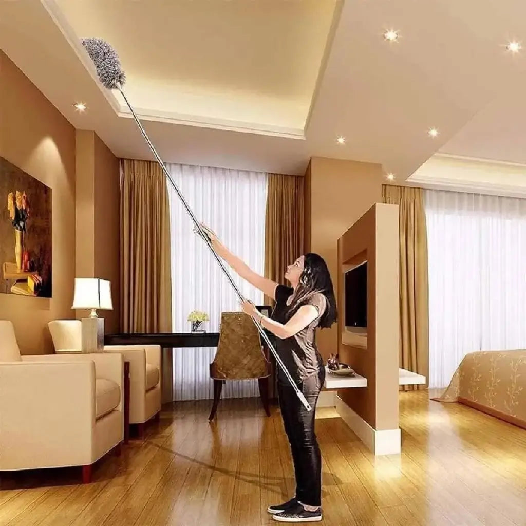 Espanador Clean